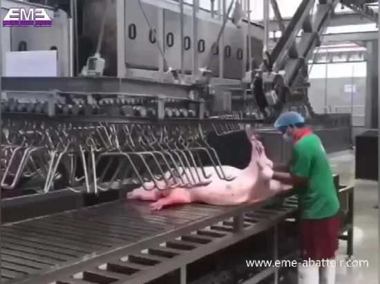 Eme Customized Pig Stunning and Killing Abattoir Machine with Slaughtering Equipment for Slaughterhouse Meat Processing Machine